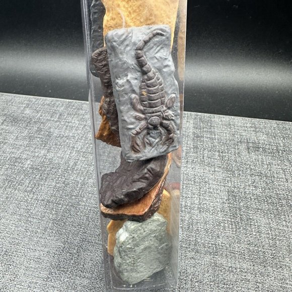Dinosaur Fossils Safari Ltd Ancient TOOB w/ 10 Educational Figurines for Kids - Picture 4 of 12
